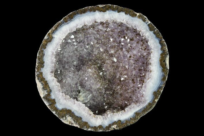 Las Choyas Coconut Geode Half with Amethyst & Calcite - Mexico #145870